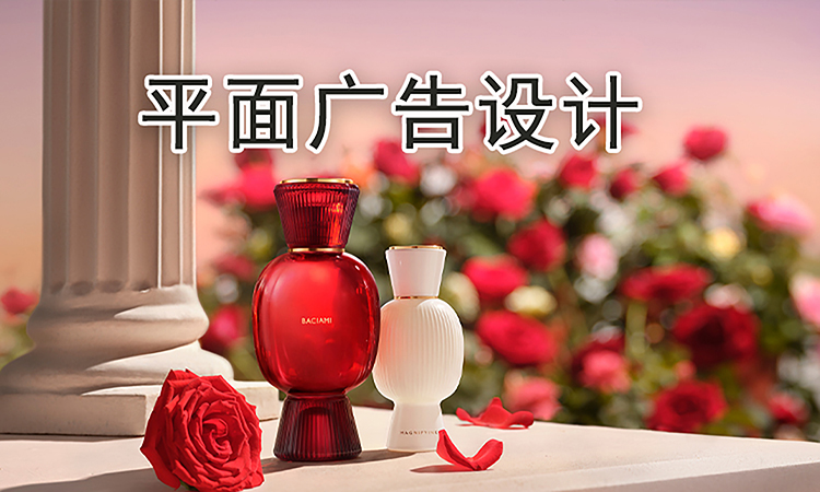 平面设计试听课1天